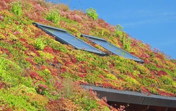 Avonmouth living roof systems
